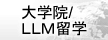 ��w�@/LLM���w
