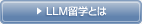 LLM���w�Ƃ�