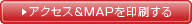 �A�N�Z�X&MAP���������