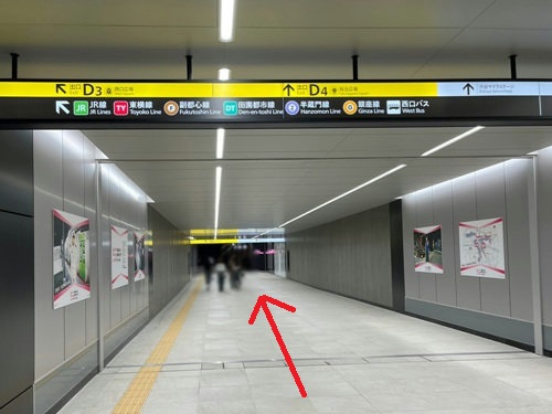 アクセス&MAP
