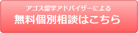 無料個別相談はこちら