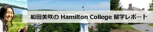 Dc Hamilton College w|[g
