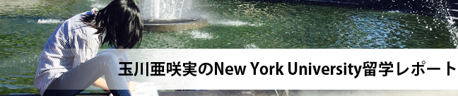 ʐ숟New York Universityw|[g