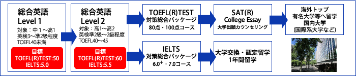 総合英語コース受講チャート